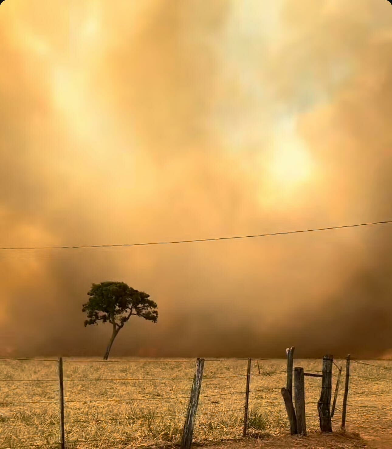 Imagem de compartilhamento para o artigo Incêndios descontrolados destroem áreas rurais em Costa Rica; moradores denunciam falta de apoio das autoridades da MS Todo dia